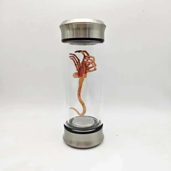 1/6 Scale Alien Chestburster Model Display - Image 7