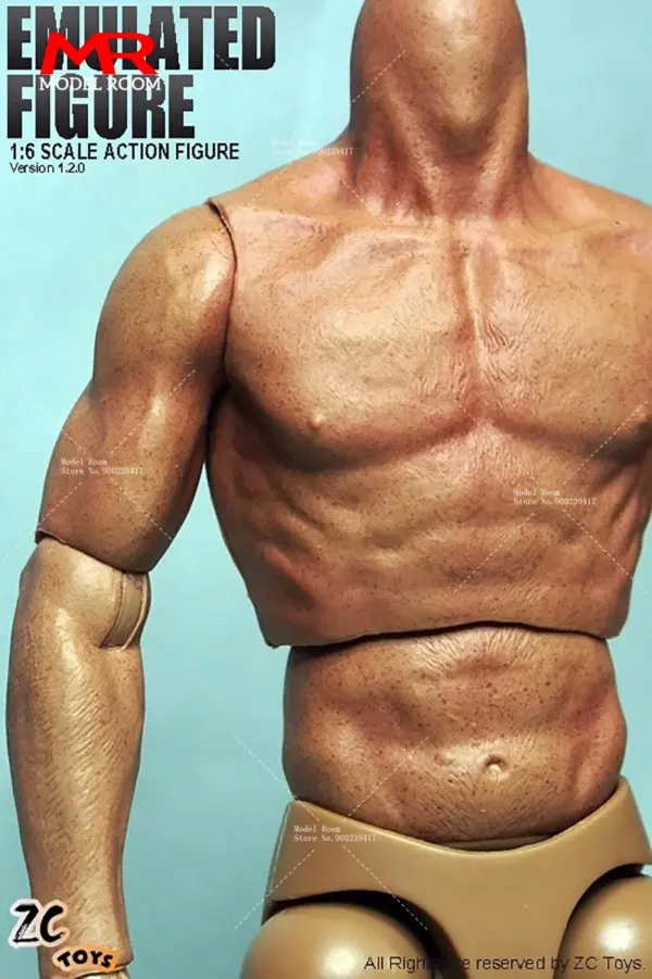 1/6 Male Muscle Action Figure with Replaceable Hands - Image 4
