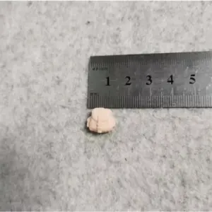 S2379e8aacc364dc1bcfd4397a67b1d4bB