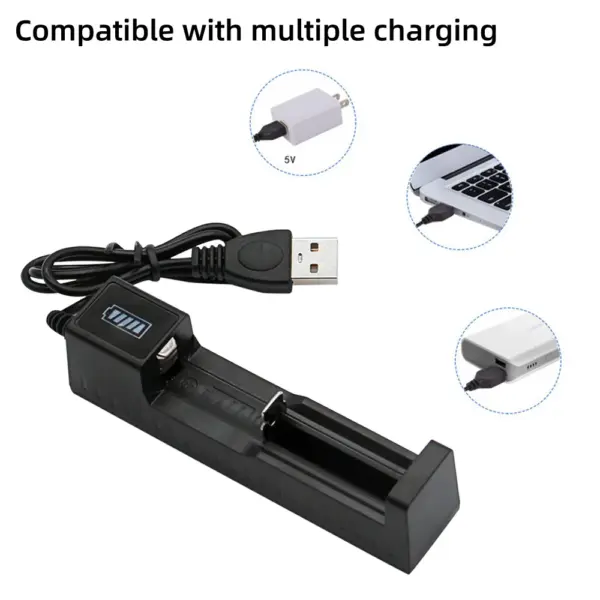 Dual 18650 Battery Charger with USB Port - Image 5