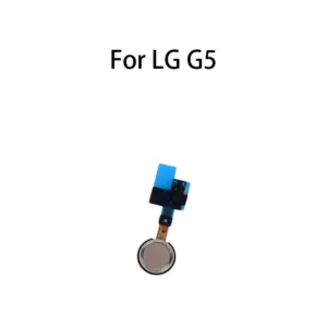 S5d80241888864fcc83d7747e168c2d13q