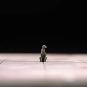 S67fbfdf5e09249a683cfa28a44b89099M