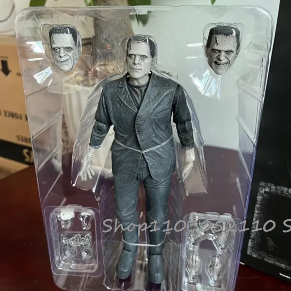 NECA Frankenstein 1931 Mary Shelley Action Figure - Image 5
