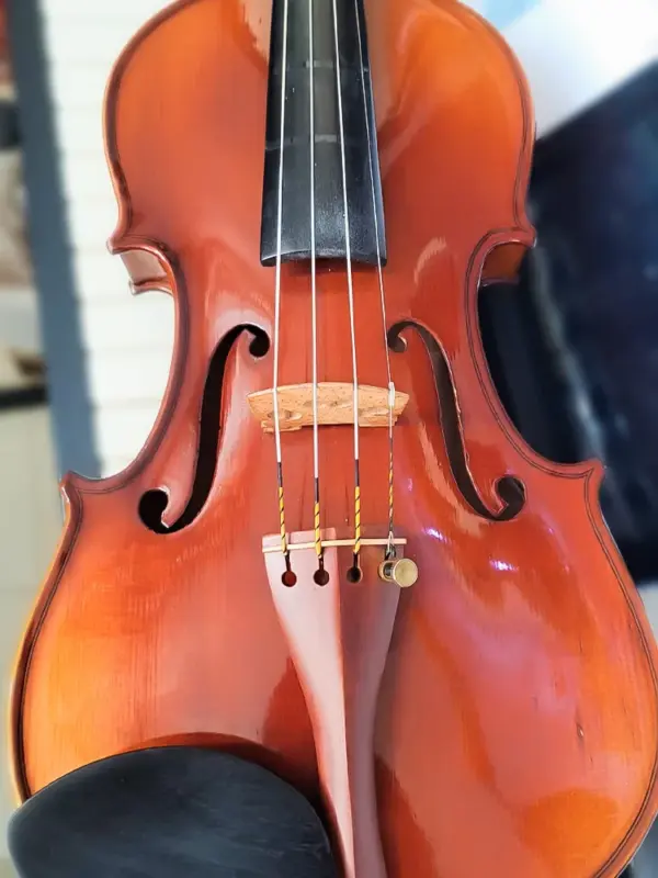 Alice A747 Nylon Core Violin Strings Set - Image 6