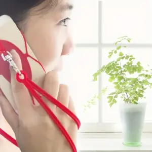 S858f55fa45de4fa8bc95d5eaa87b8da67