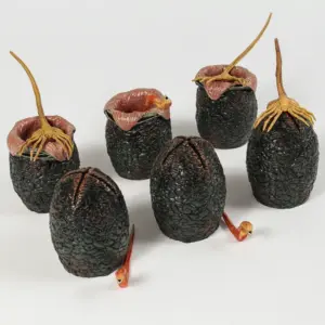 S87c4019925894d77a7737ce7b3eba6419