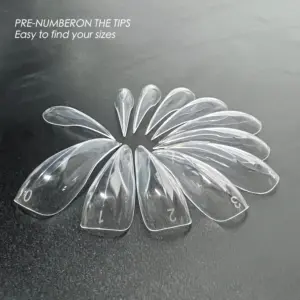 S8b08b38e13c94284a7cd808d4d526d10Y