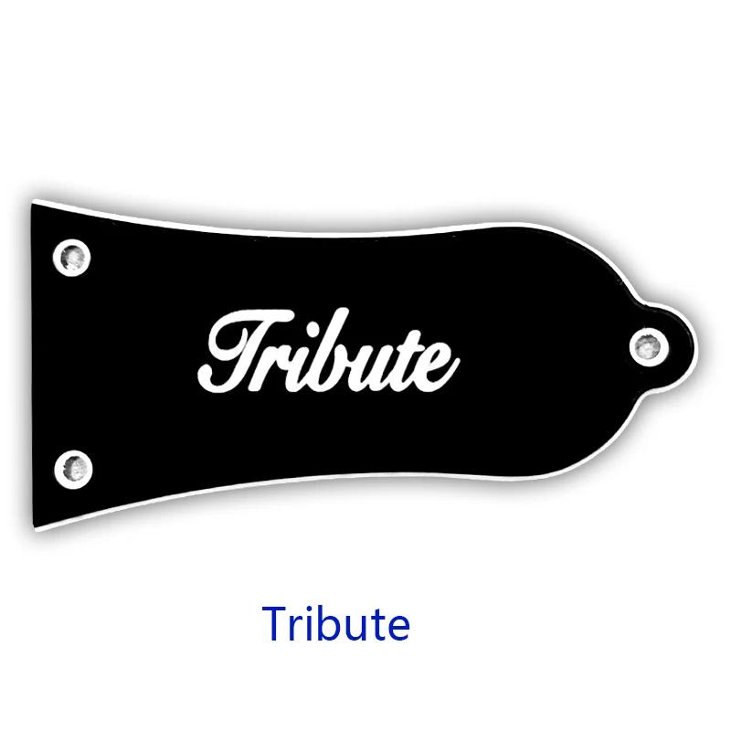 Fei Man Custom TRUSS ROD Cover for Epiphone Les Paul 7 Fei Man Custom TRUSS ROD Cover for Epiphone Les Paul - Image 7