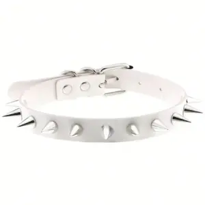 S8d9cc792a2e847cb96ab1014e8017d92W