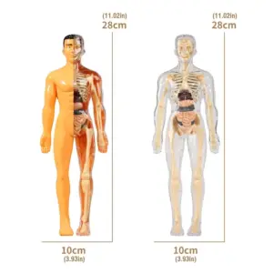 Sade41a67a7b443648ca9ad63591b5030v