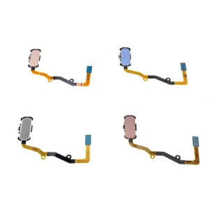 Sc0a9d04a0cb1472f9199ad4c8ed63705J 2