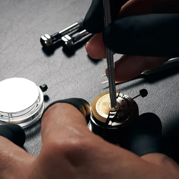 Watch Cleaning Brush Set for Watchmakers - Image 3