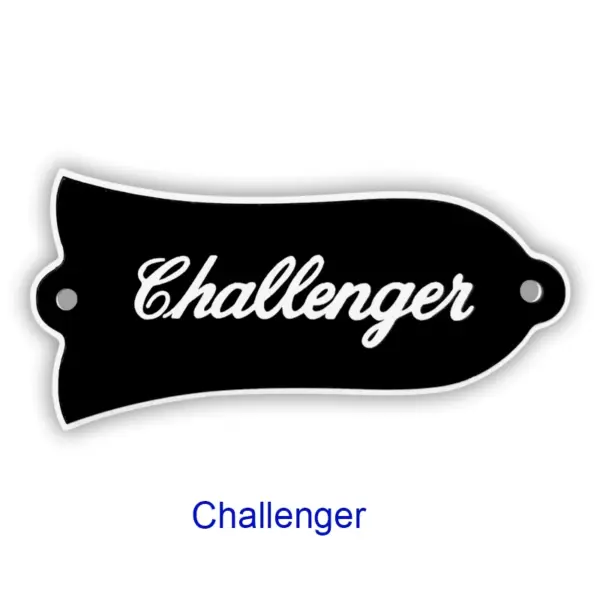 Custom Gibson Les Paul Truss Rod Cover Plate - Image 23