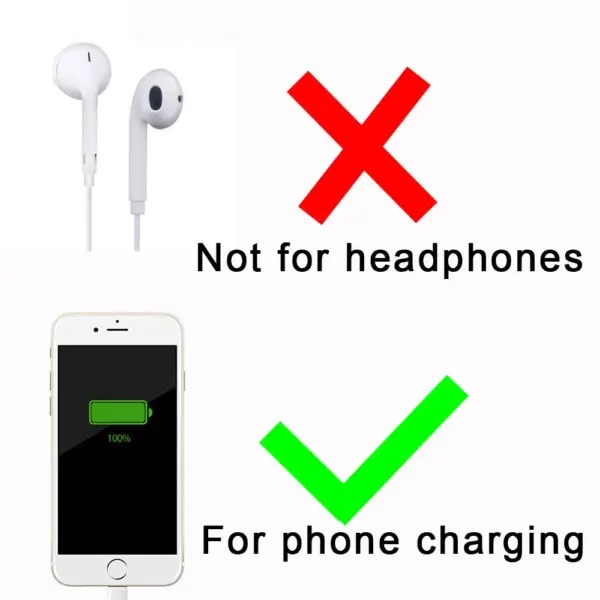 Type-C to iOS Adapter for iPhone Models - Image 4