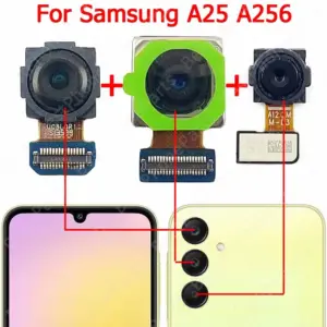 Sd5e43dd7eadd46a787c3ae9bf73061c7Y