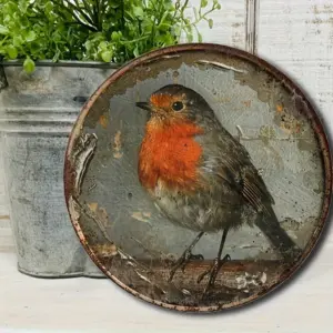 Vintage Robin Wall Decorative Logo Plate 8 Sd72a0355a46749d58a17165adbf1f867P