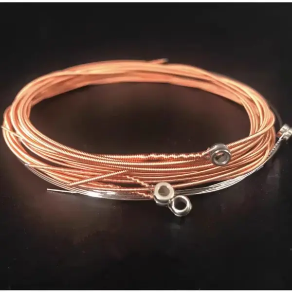 Alice 6-String Acoustic Guitar Strings A206-SL - Image 3