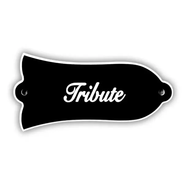 Fei Man LP Standard Truss Rod Cover Plate - Image 18