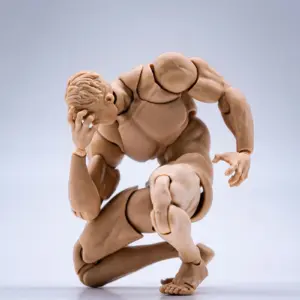 Wind Toys 1/12 Male Action Figure Kit 13 Sf3dcbca89fc5480aa473d48433e56270a