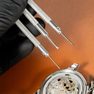 Sf992d1a610664bd4aff7c83c9258ccb6b