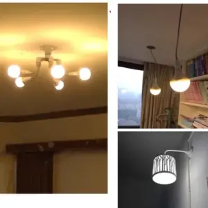 Sfa7b6021a190482cbf7a03e197ca9981A