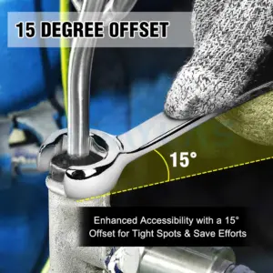 Sfff5df99fa93423ba5e604322677c0efl 1