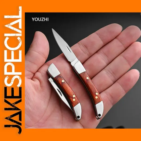 Portable Stainless Steel Folding Knife with Wood Handle