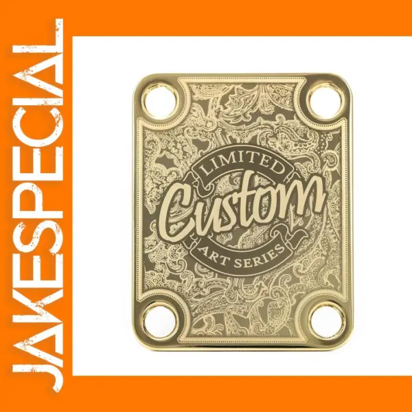 Guitar Neck Plate Set with Screws and Gasket