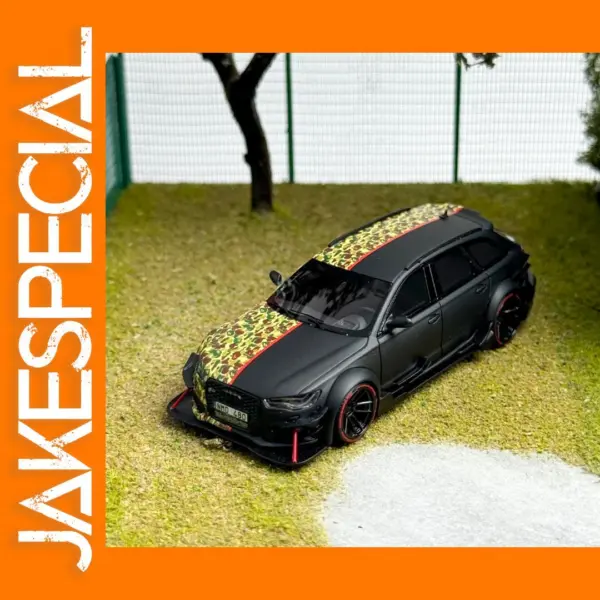 Limited Edition Resin Audi RS6 DTM Model