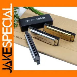 C Key 10 Hole Chromatic Harmonica with Case
