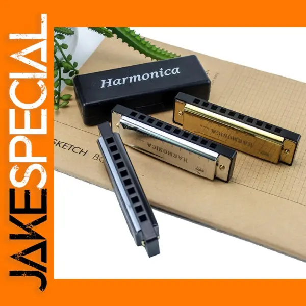 C Key 10 Hole Chromatic Harmonica with Case