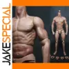 1/6 Scale Male Muscular Action Figure Model