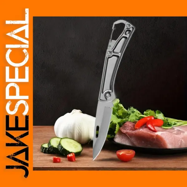 Stainless Steel Folding Fruit Knife Set