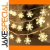 Snowflake LED Fairy String Lights 10/20/80 L