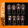 1/6 Scale Durable Male Action Figure Body