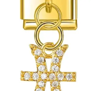 Zodiac Sign Stainless Steel Charm Bracelet 34 d48a06ab upscaled