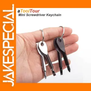 Mini Keychain Phillips Slotted Screwdriver Set