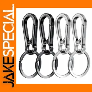 4Pcs Metal Carabiner Keychain Clips Set