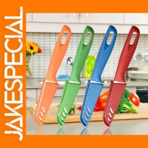 Stainless Steel Boning Knife with Plastic Handle