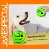 Interactive Glow Ball Dog Toy with Sound