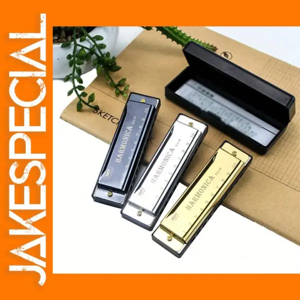 10 Hole C Chromatic Harmonica with Case