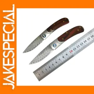 VG10 Damascus Steel Folding Knife with Wood Handle