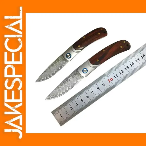 VG10 Damascus Steel Folding Knife with Wood Handle