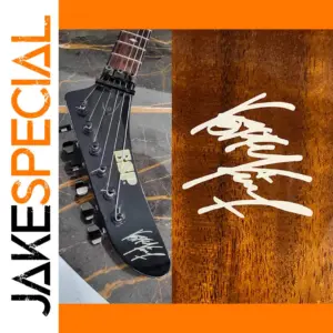 3Pcs Electric Guitar Headstock Logo Decals Set