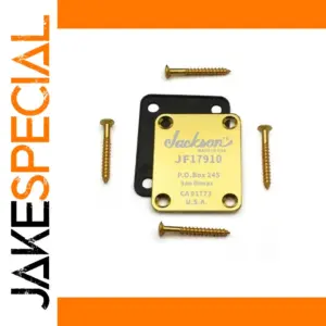 Gold Electric Guitar Neck Plate Set