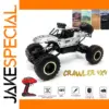 4WD Remote Control Off-Road Car with Lights