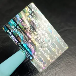 S0e9afbece2ca4bab891ca4fc5e158dc7V