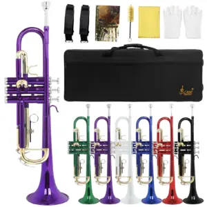 Gold-Plated Bb Trumpet with Case and Mouthpiece 22 S0fae0a80bdb848c0b7eed30f14595ce1y