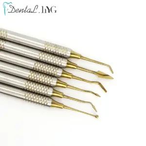 S10130faf740c4a30b3483db1b61865b4l