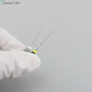 Stainless Steel Dental K-Files 6-Pack 29 S1a97dd6c19424dfebe319e450433d0d1H